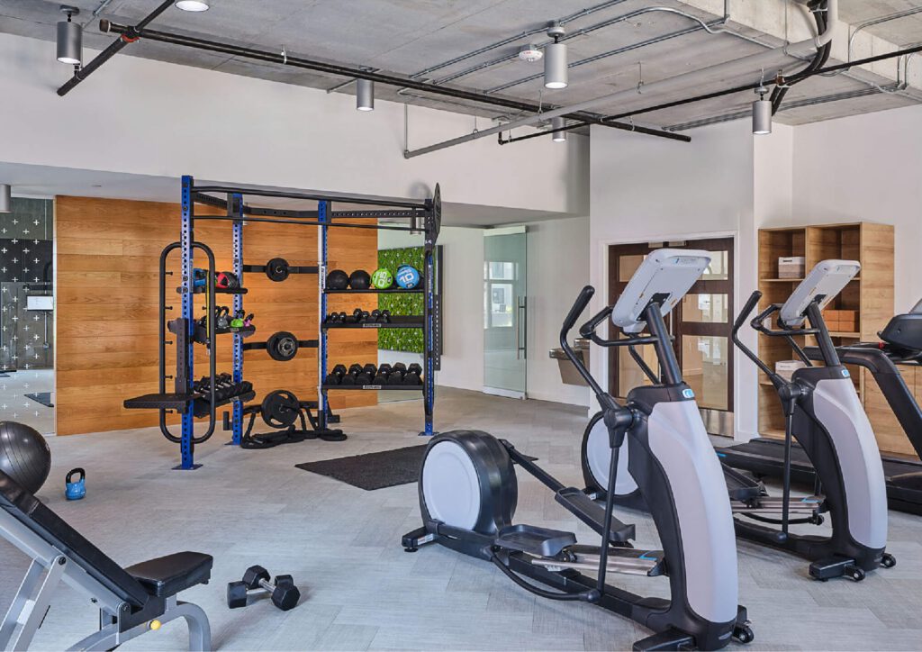 Modern gym with ellipticals, a rowing machine, weight bench, squat rack, kettlebells, free weights, and organized shelves. The space is clean, well-lit, and features exposed ceilings and light wood accents.