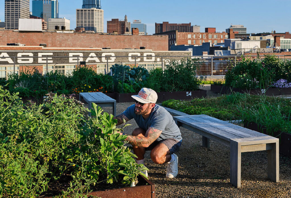A man in a cap and sunglasses kneels to tend plants in an urban rooftop garden with wooden benches. City buildings and a painted sign saying “Case Bag Co.” are visible in the background.